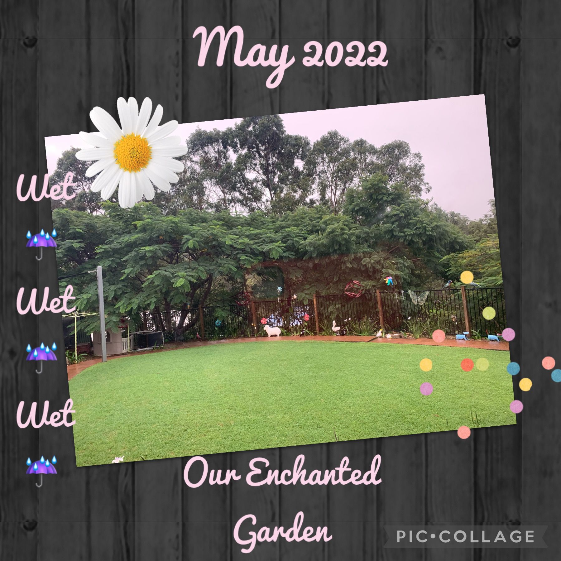 Fun With Kids Wellbeing Family Day Care Centre photo