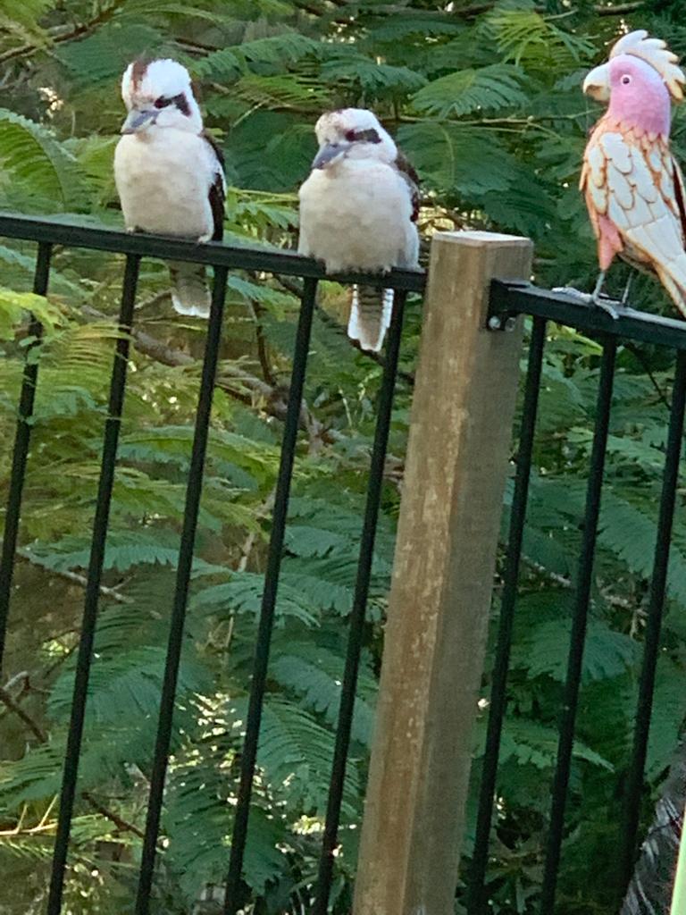 Fun With Kids Wellbeing Family Day Care Centre photo