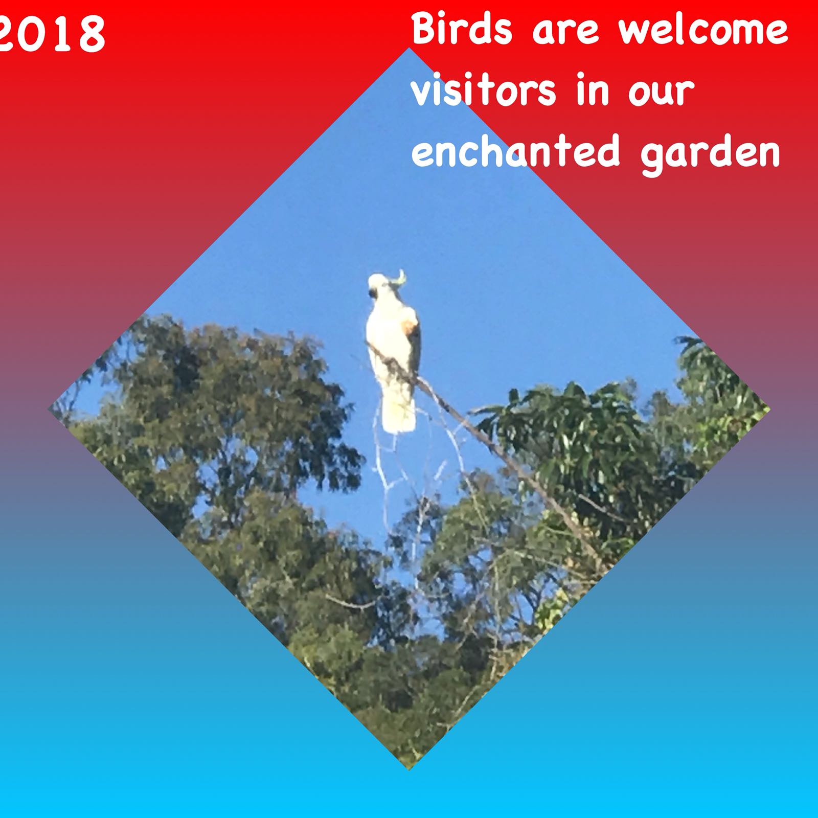 Fun With Kids Wellbeing Family Day Care Centre photo