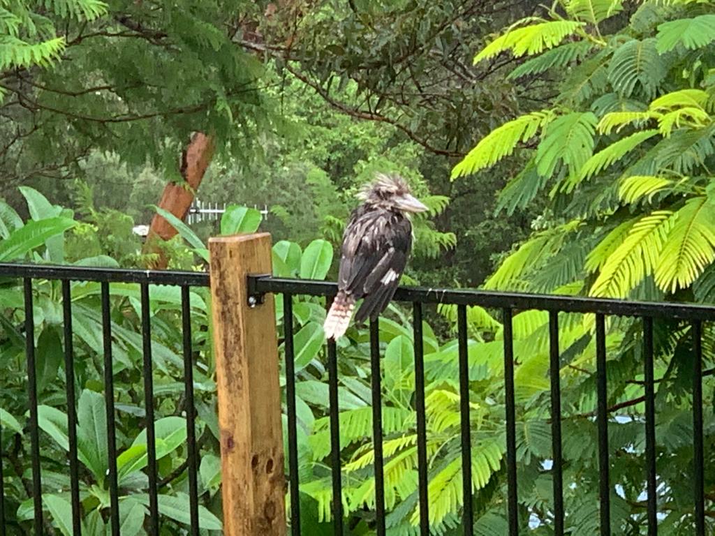 Fun With Kids Wellbeing Family Day Care Centre photo