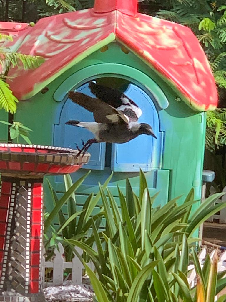 Fun With Kids Wellbeing Family Day Care Centre photo