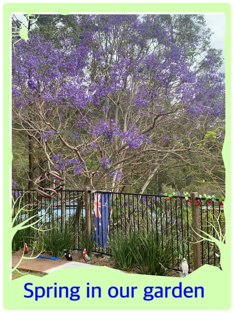 Fun With Kids Wellbeing Family Day Care Centre photo