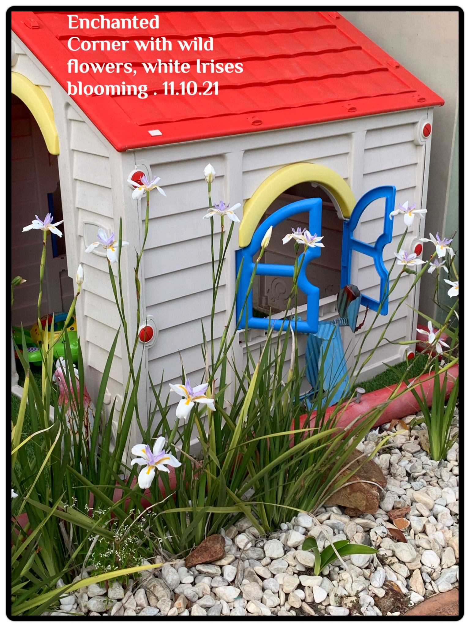 Fun With Kids Wellbeing Family Day Care Centre photo