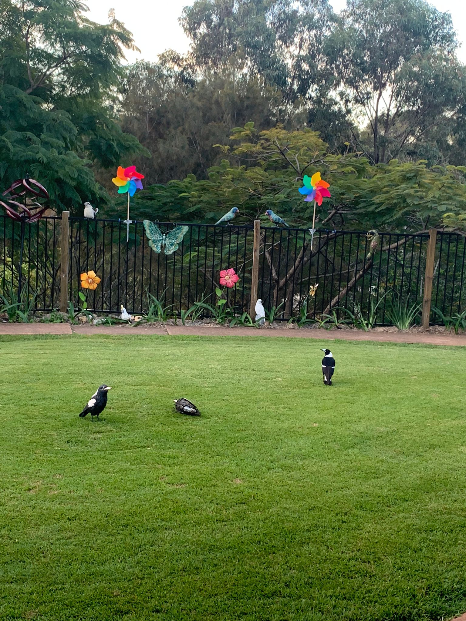 Fun With Kids Wellbeing Family Day Care Centre photo