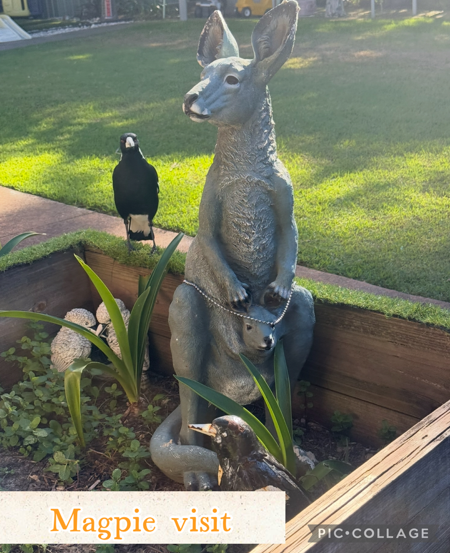 Fun With Kids Wellbeing Family Day Care Centre photo